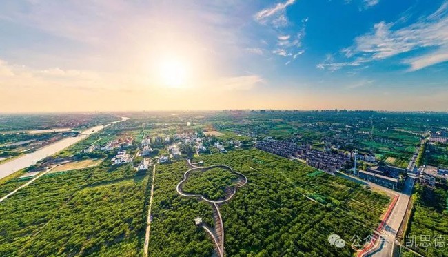 岩棉的发展趋势